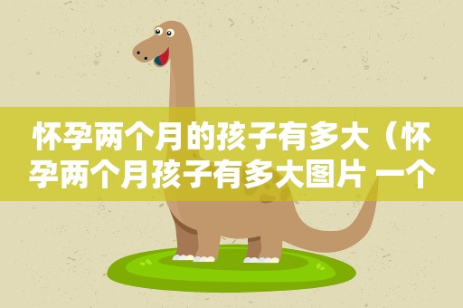 怀孕两个月的孩子有多大（怀孕两个月孩子有多大图片 一个月）