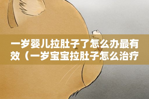 一岁婴儿拉肚子了怎么办最有效(一岁宝宝拉肚子怎么治疗好得快) 一岁婴儿拉肚子了怎么办最有效(一岁宝宝拉肚子怎么治疗好得快)