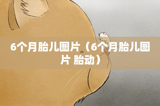 6个月胎儿图片(6个月胎儿图片 胎动) 6个月胎儿图片(6个月胎儿图片 胎动)