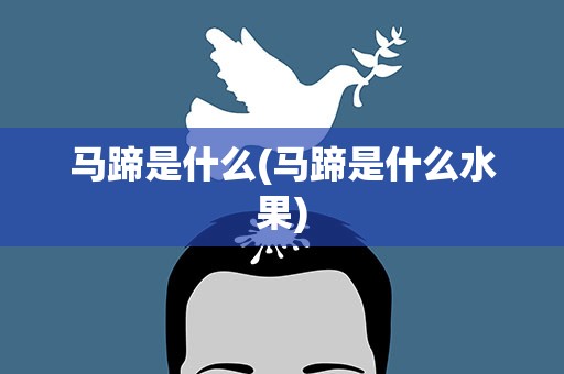 马蹄是什么(马蹄是什么水果)