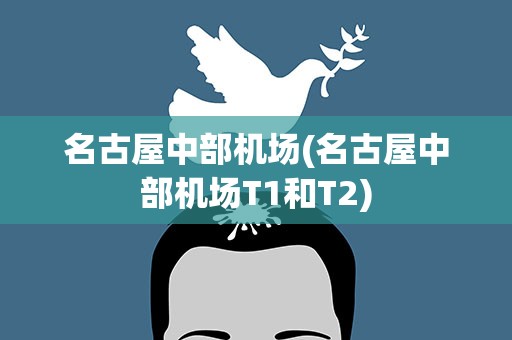 名古屋中部机场(名古屋中部机场T1和T2)