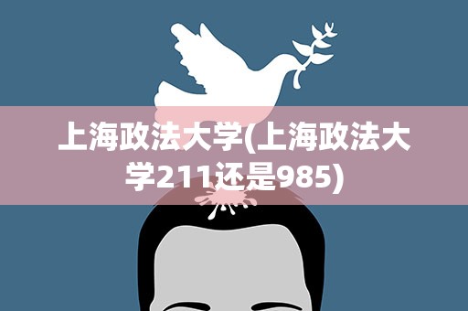 上海政法大学(上海政法大学211还是985)