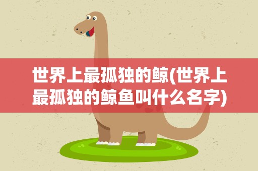 世界上最孤独的鲸(世界上最孤独的鲸鱼叫什么名字)