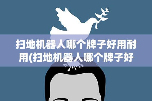 扫地机器人哪个牌子好用耐用(扫地机器人哪个牌子好十大排名)