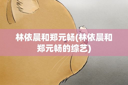 林依晨和郑元畅(林依晨和郑元畅的综艺)