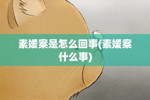 素媛案是怎么回事(素媛案什么事) 素媛案是怎么回事(素媛案什么事)