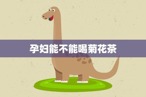 孕妇能不能喝菊花茶