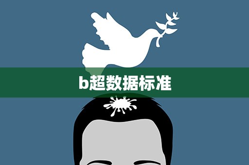 b超数据标准